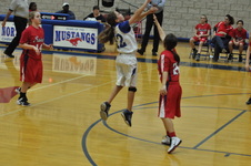 Enlarge photo 121