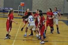 Enlarge photo 129