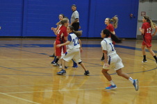 Enlarge photo 141