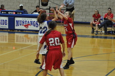 Enlarge photo 159