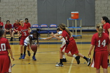 Enlarge photo 219