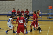 Enlarge photo 222