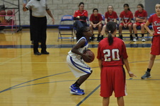 Enlarge photo 223