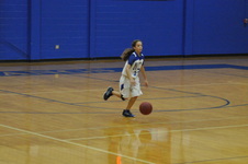 Enlarge photo 239