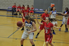 Enlarge photo 243
