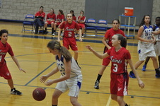 Enlarge photo 244