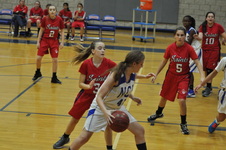 Enlarge photo 247