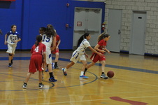 Enlarge photo 272