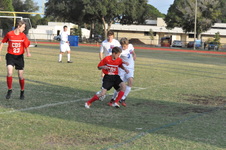 Enlarge photo 49