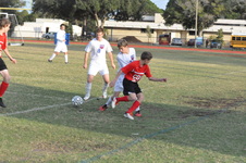 Enlarge photo 50