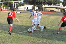 Enlarge photo 53
