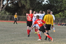 Enlarge photo 88