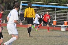 Enlarge photo 93