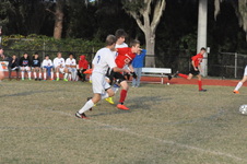 Enlarge photo 99