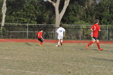 Enlarge photo 121