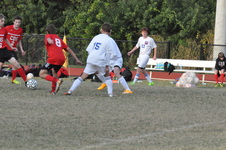 Enlarge photo 148