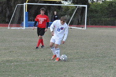 Enlarge photo 155
