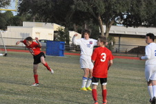 Enlarge photo 161