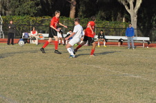 Enlarge photo 179