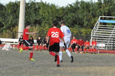 Enlarge photo 192