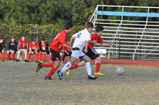 Enlarge photo 195