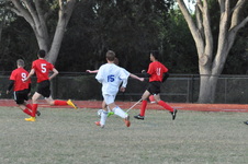 Enlarge photo 204