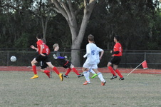 Enlarge photo 205