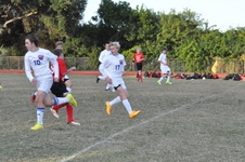 Enlarge photo 223