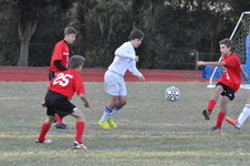 Enlarge photo 228