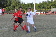 Enlarge photo 235