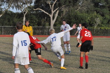Enlarge photo 236