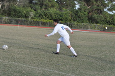 Enlarge photo 239