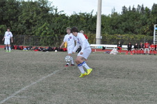 Enlarge photo 243