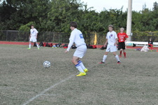 Enlarge photo 245
