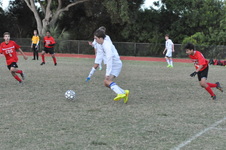 Enlarge photo 249