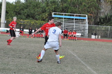 Enlarge photo 258