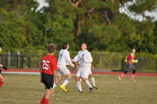 Enlarge photo 268