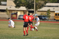 Enlarge photo 279
