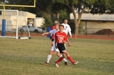 Enlarge photo 297