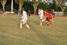 Enlarge photo 299