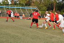 Enlarge photo 303