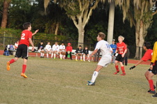 Enlarge photo 333