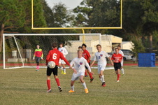 Enlarge photo 337