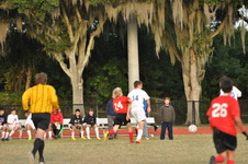 Enlarge photo 361