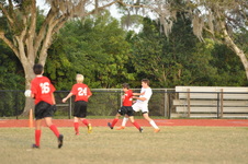 Enlarge photo 362