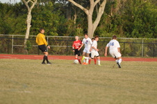 Enlarge photo 371