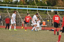 Enlarge photo 379
