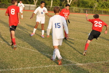 Enlarge photo 389