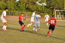Enlarge photo 391
