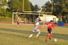 Enlarge photo 452